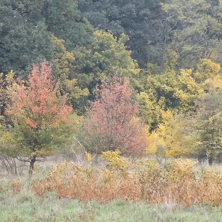 בית הארחה Vizimalom Kemping, Panzio Es Etterem Turistvandi