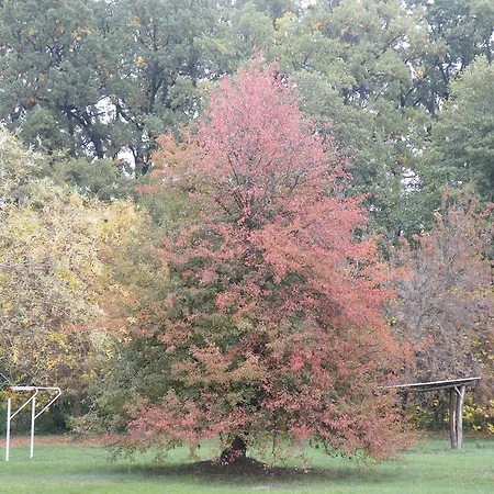 Vizimalom Kemping, Panzio Es Etterem