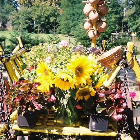 בית הארחה Vizimalom Kemping, Panzio Es Etterem