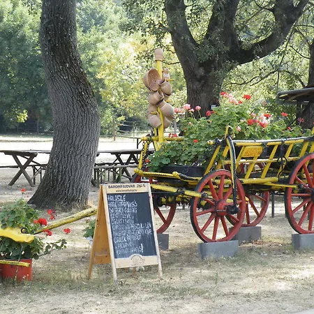 Affittacamere Vizimalom Kemping, Panzió és étterem Turistvandi