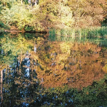 Affittacamere Vizimalom Kemping, Panzió és étterem